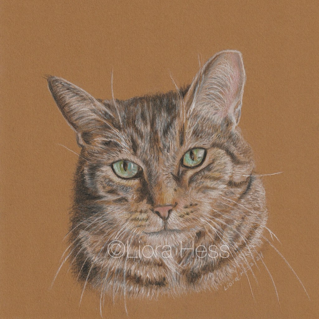 Romeo (2024), 8×8 head, colored pencil.