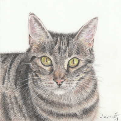 Abby (2024), 8×8 half-body, colored pencil.