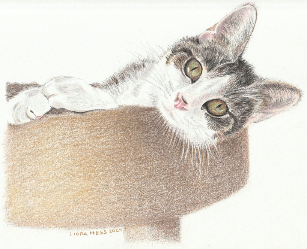 Peanut (2024), 8×10 half-body, colored pencil.