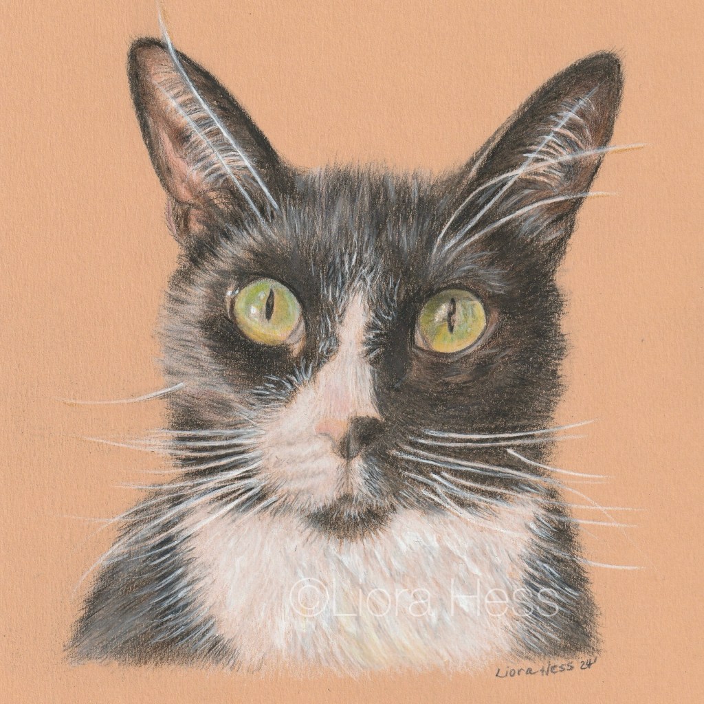 Jax (2024), 8×8 head, colored pencil.