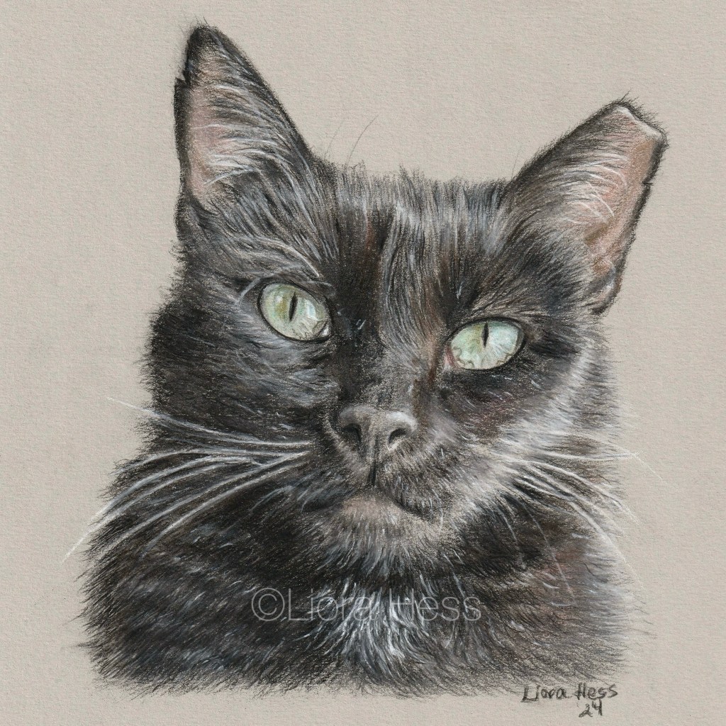 Pip (2024), 8×8 head, colored pencil.